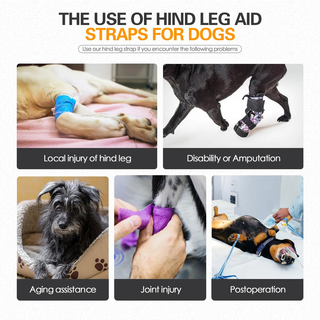 LiftPaw™ Dog Support Harness