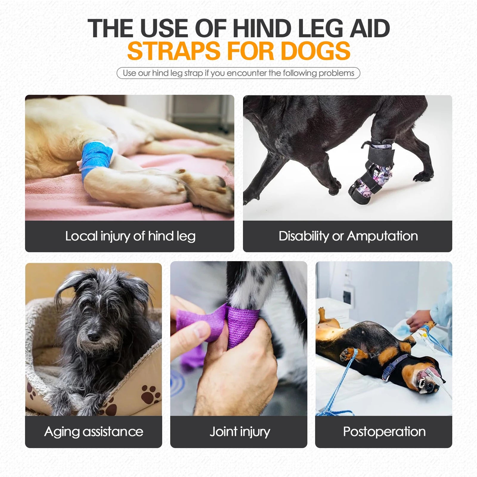 LiftPaw™ Dog Support Harness