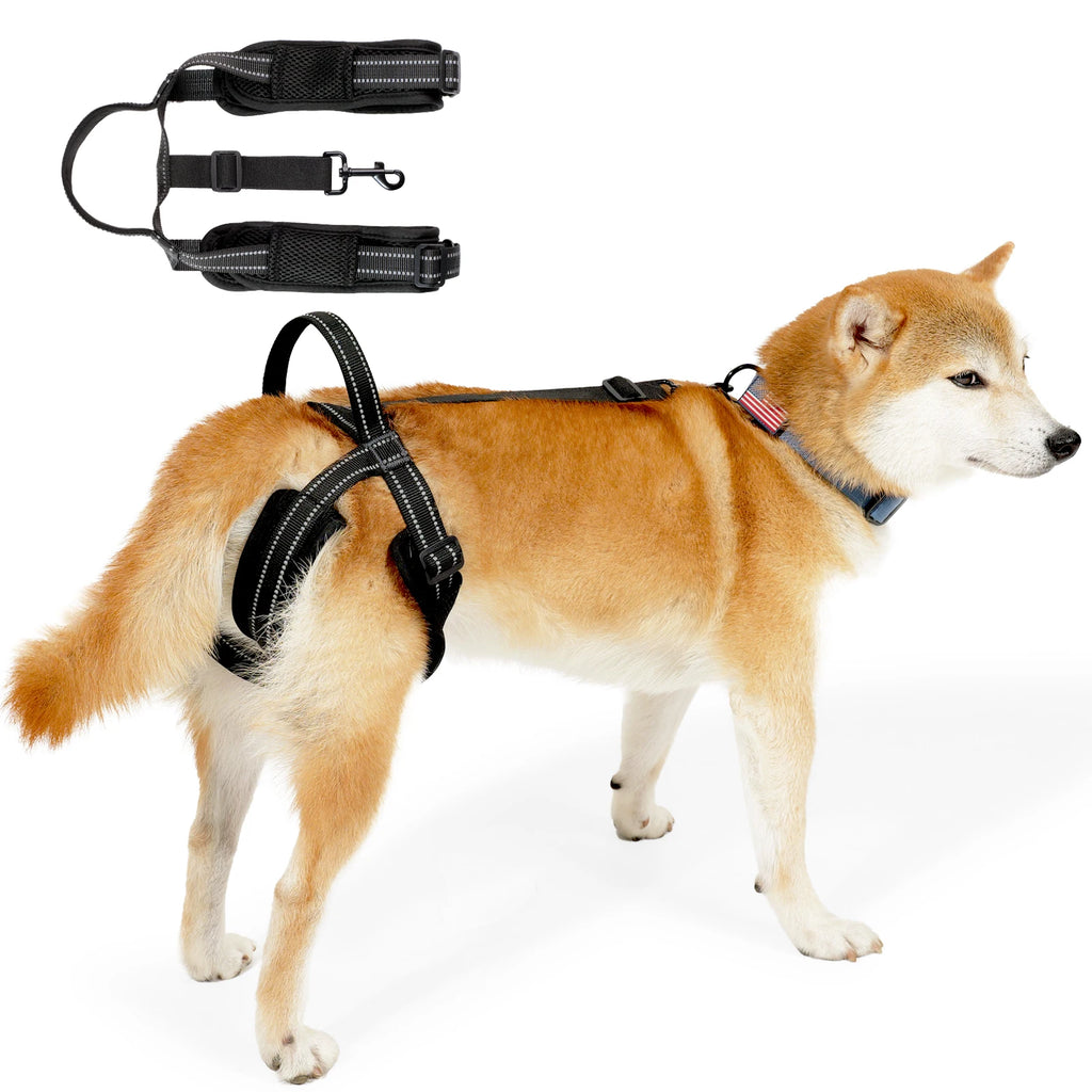 LiftPaw™ Dog Support Harness