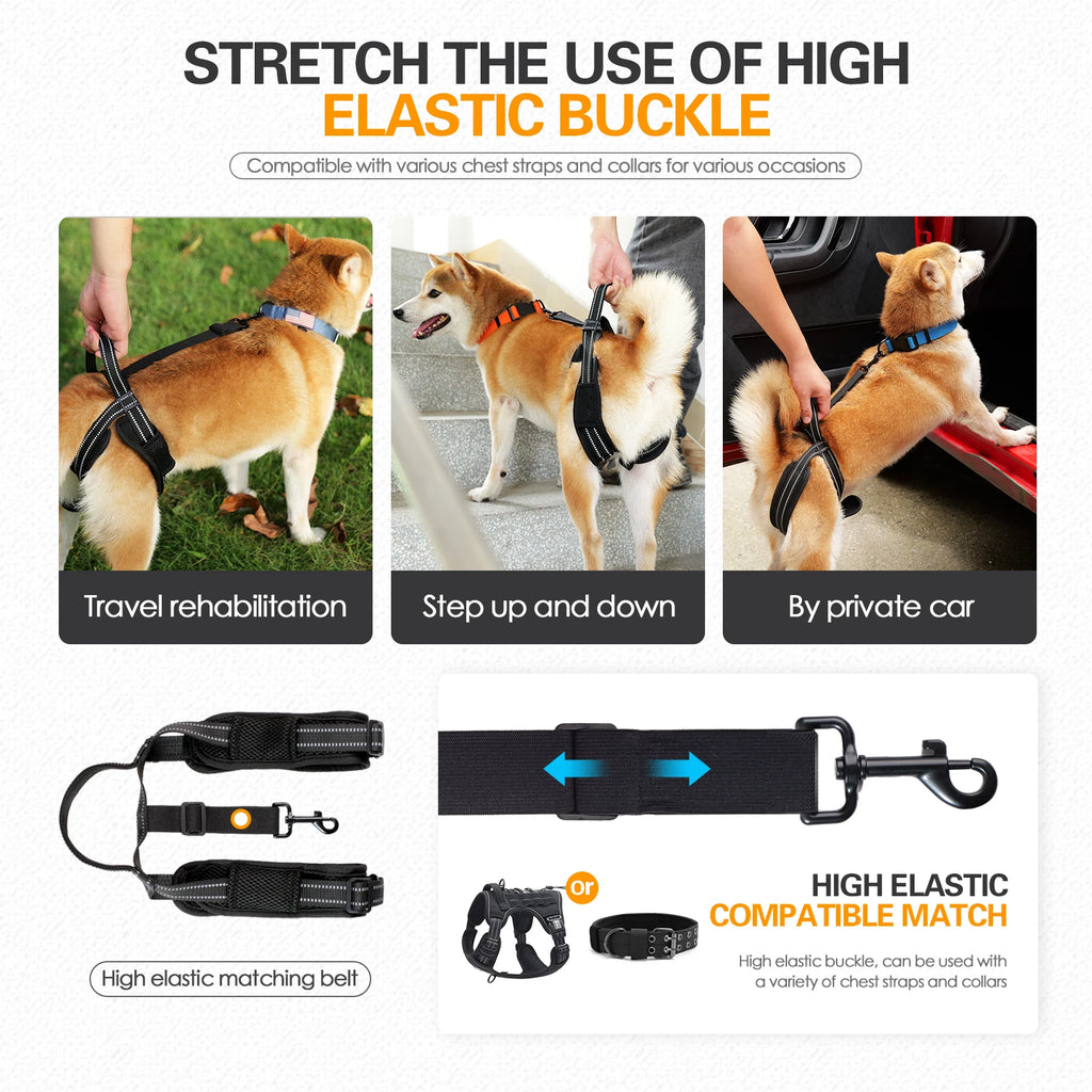 LiftPaw™ Dog Support Harness